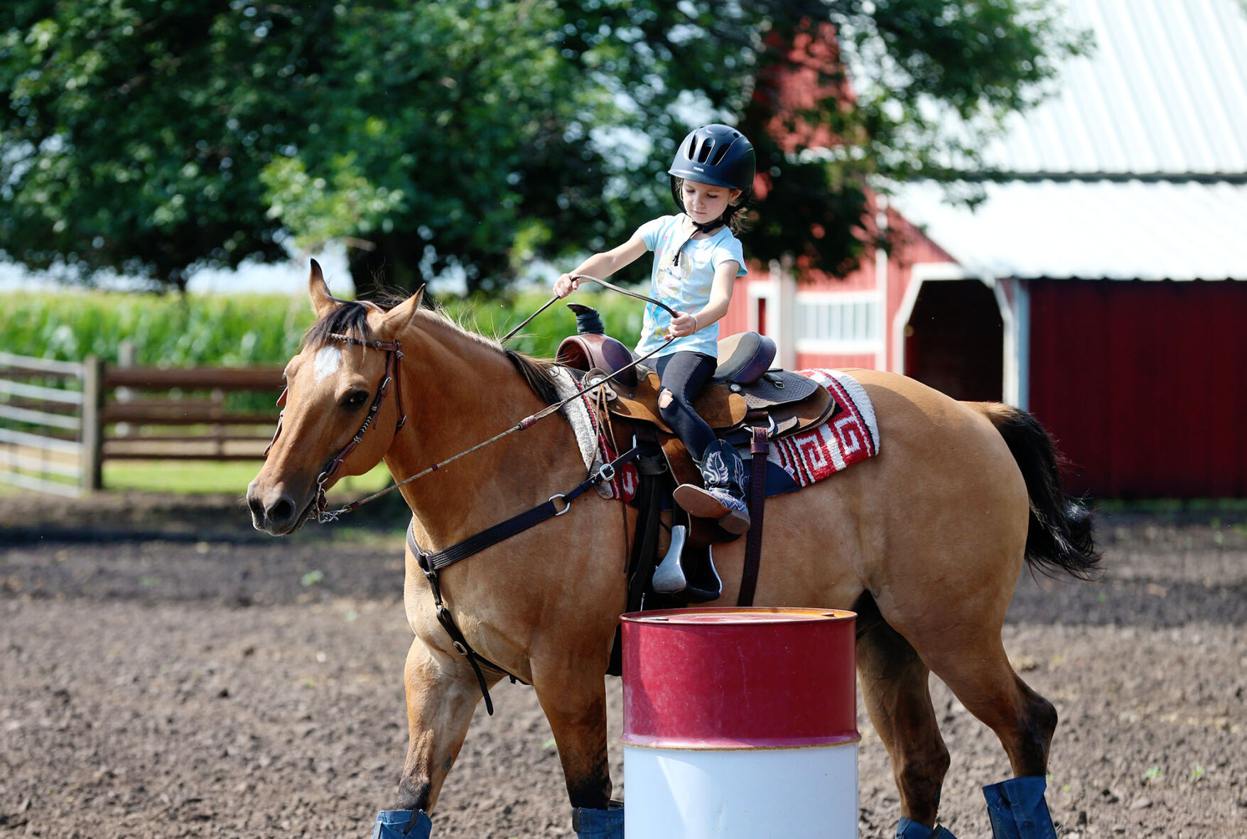 072722-gii-news-horse-science-jrs-p2